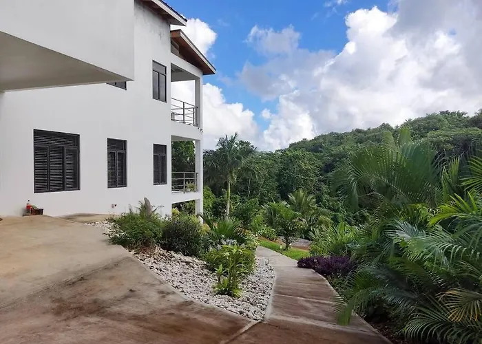The Willow Apartamento