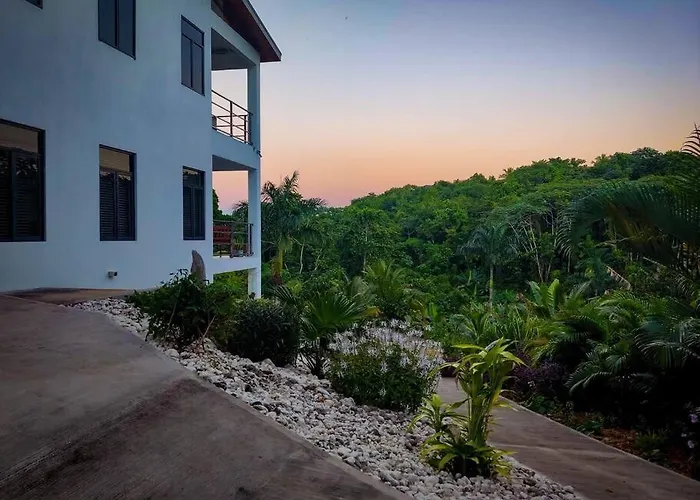 The Willow * Ocho Rios